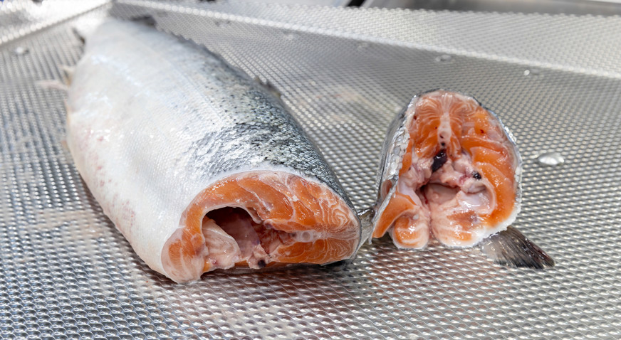 Salmon Deheader MS 3028 Deheaded