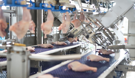 Bell can now produce with proverbial Swiss precision