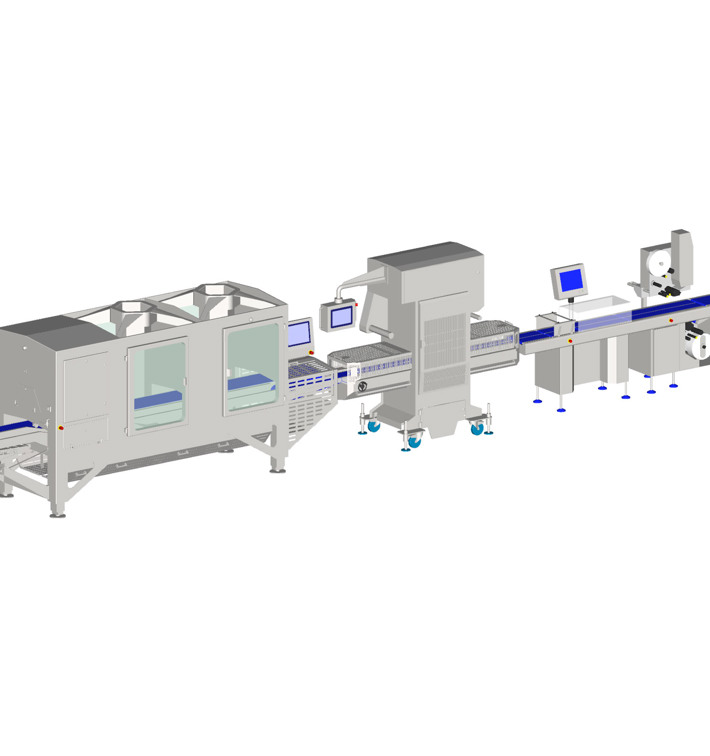 Tray Packing Sealing Labeling Line