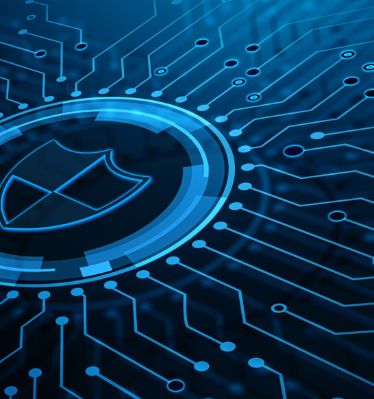 Fish Cyber Security 4